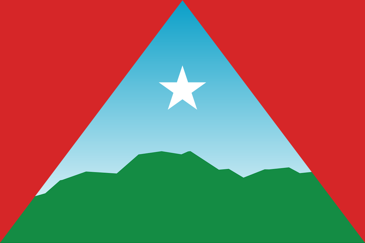 Bandera Oficial de Caracas