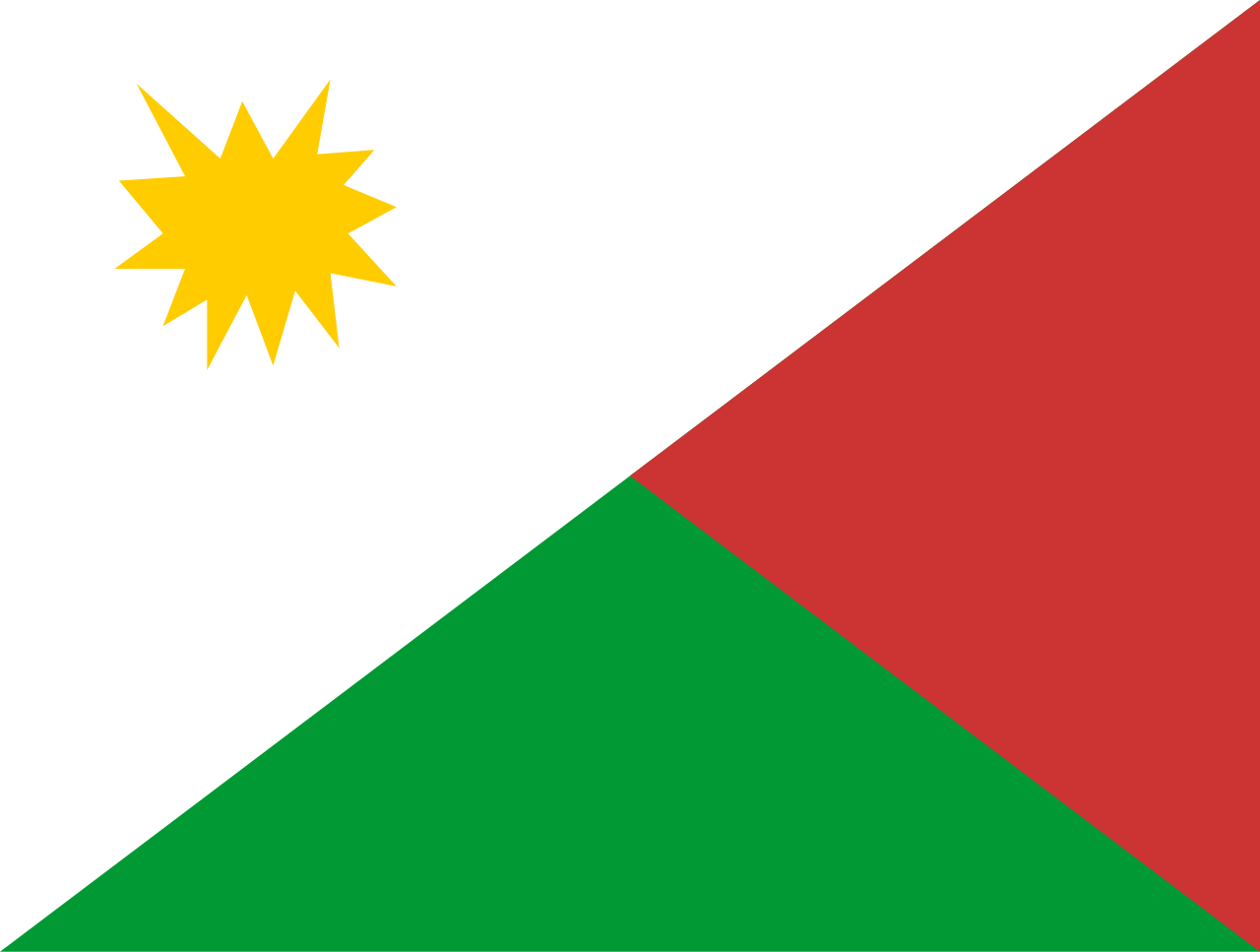 Bandera Mcpio. Boconó