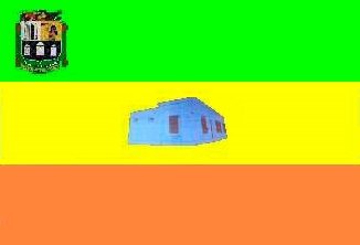 Bandera Mcpio. San Carlos